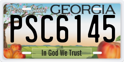 GA license plate PSC6145