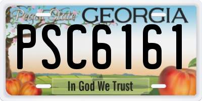 GA license plate PSC6161
