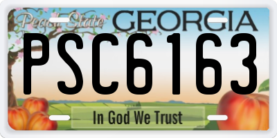 GA license plate PSC6163