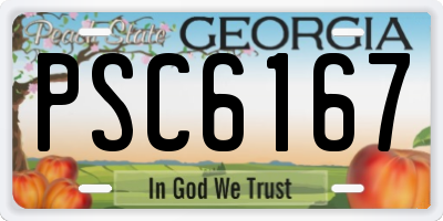 GA license plate PSC6167