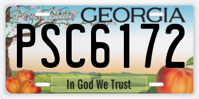 GA license plate PSC6172