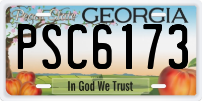 GA license plate PSC6173
