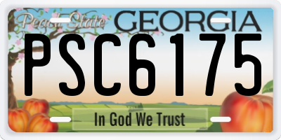 GA license plate PSC6175