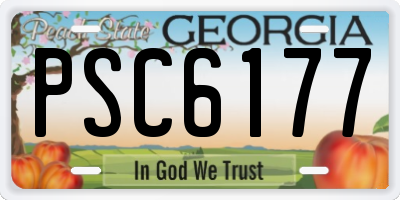 GA license plate PSC6177