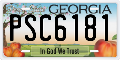 GA license plate PSC6181