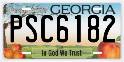 GA license plate PSC6182