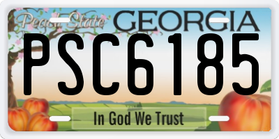 GA license plate PSC6185