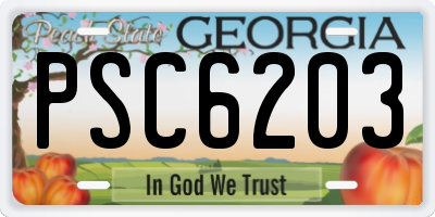 GA license plate PSC6203