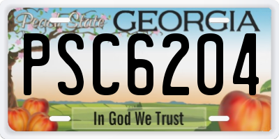 GA license plate PSC6204