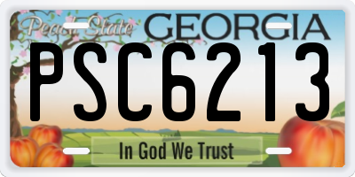 GA license plate PSC6213
