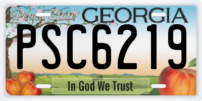 GA license plate PSC6219