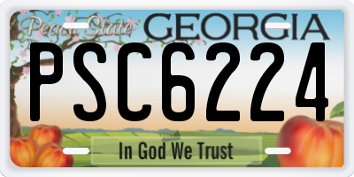 GA license plate PSC6224