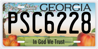 GA license plate PSC6228