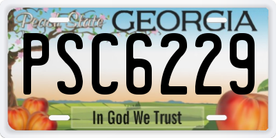GA license plate PSC6229