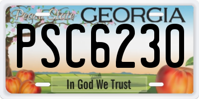 GA license plate PSC6230