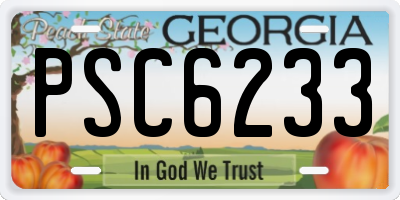 GA license plate PSC6233