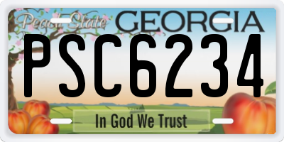 GA license plate PSC6234