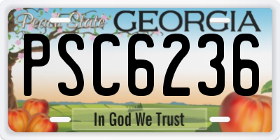 GA license plate PSC6236