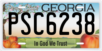 GA license plate PSC6238
