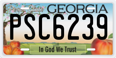 GA license plate PSC6239