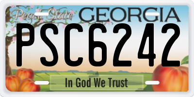 GA license plate PSC6242