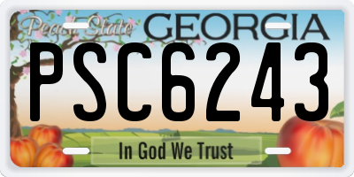 GA license plate PSC6243