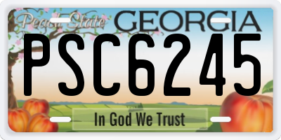 GA license plate PSC6245