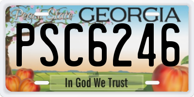 GA license plate PSC6246