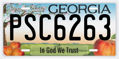 GA license plate PSC6263