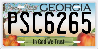 GA license plate PSC6265