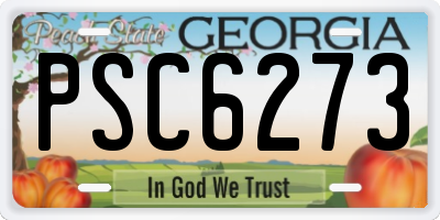 GA license plate PSC6273