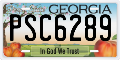 GA license plate PSC6289