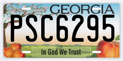 GA license plate PSC6295