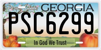 GA license plate PSC6299