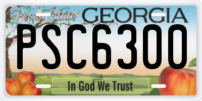 GA license plate PSC6300