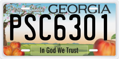 GA license plate PSC6301
