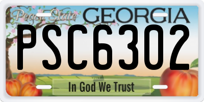 GA license plate PSC6302