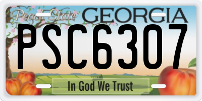 GA license plate PSC6307