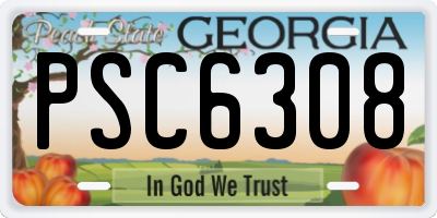 GA license plate PSC6308