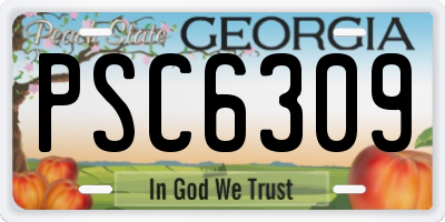 GA license plate PSC6309