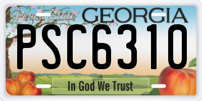 GA license plate PSC6310