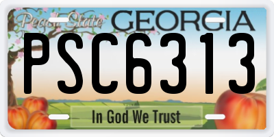 GA license plate PSC6313