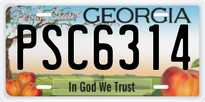 GA license plate PSC6314