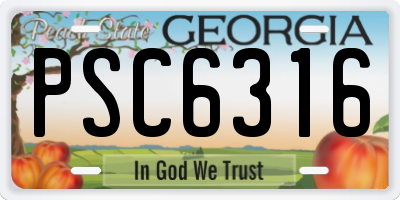 GA license plate PSC6316
