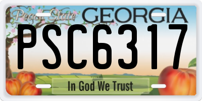 GA license plate PSC6317