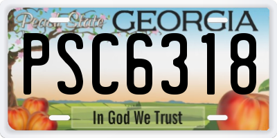 GA license plate PSC6318