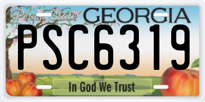 GA license plate PSC6319
