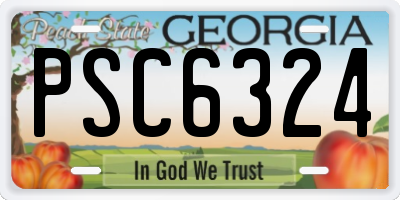 GA license plate PSC6324