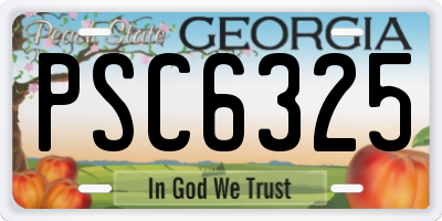 GA license plate PSC6325