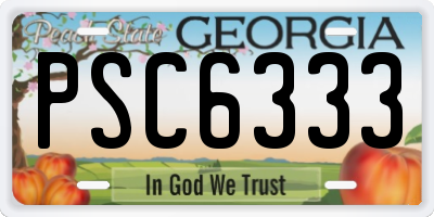GA license plate PSC6333